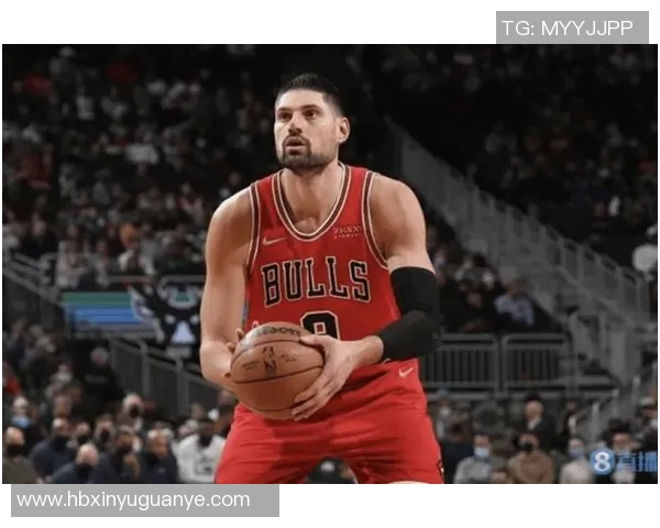 尼古拉武切维奇的传奇人生与对篮球运动的深远影响